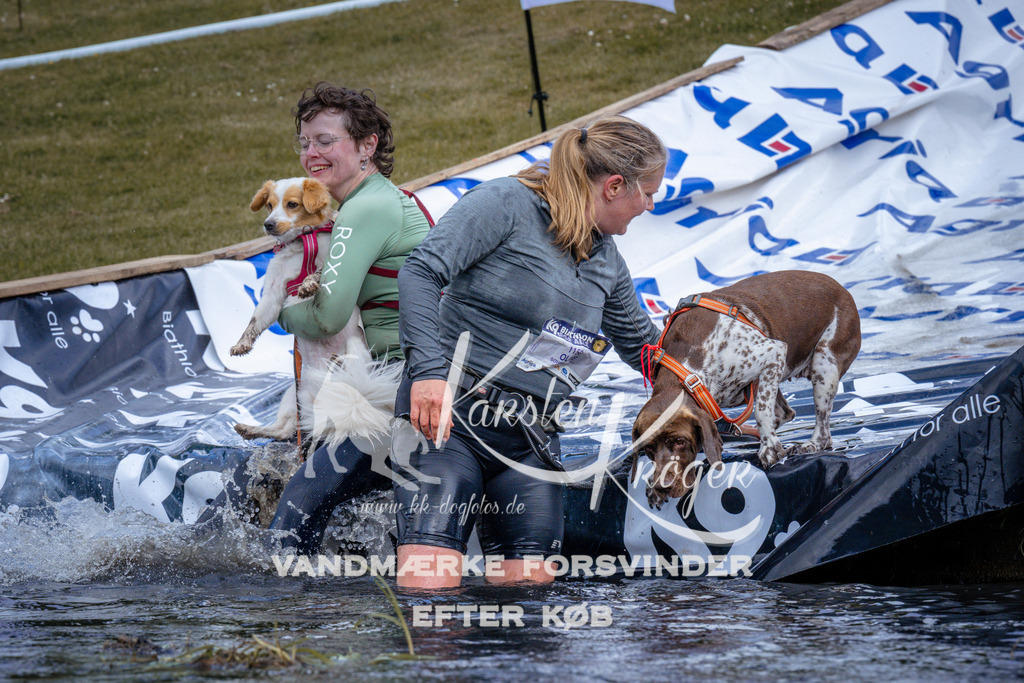 _ZZ913410913 | kk-dogfotos