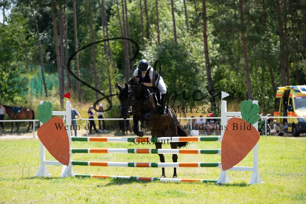 A7V05988 | Pferdefotograf