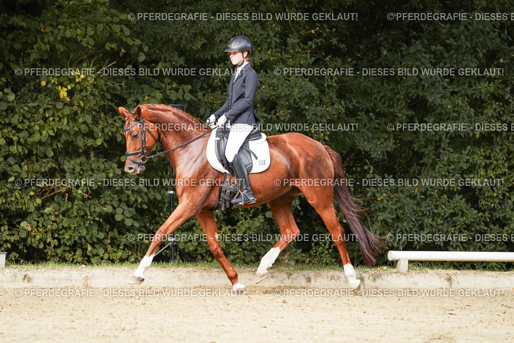 DSC03424 | Pferdegrafie