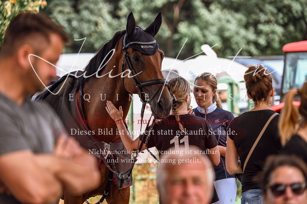 DSC_8114 | Pferde- und Turnierfotografie in Westsachsen. Pferdeportraits, Auftragszeichnungen und intuitive Kunst.