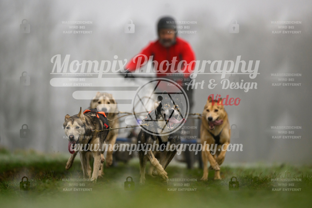 MompixPhotography_CDF2023_FFST_Di_Kart-57 | PayLife