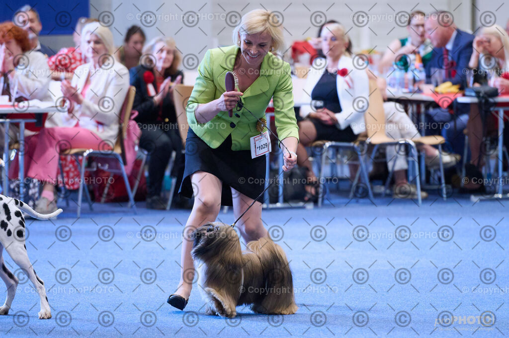 202406_ÖKV-IHA-Tulln24_DSC_4408 | proPHOTO - Realisiert mit Pictrs.com