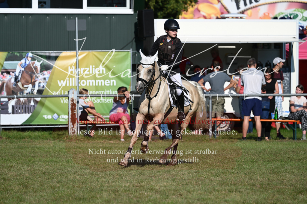 DSC_5046 | Pferde- und Turnierfotografie in Westsachsen. Pferdeportraits, Auftragszeichnungen und intuitive Kunst.