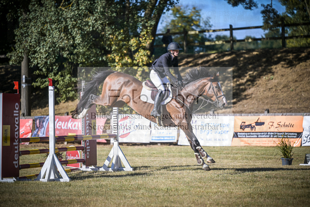 DOS_0063 | Entdecke hochwertige Reitturnierfotos von Foto Oger. Professionell, emotional und authentisch – jetzt Lieblingsmomente im Shop bestellen.Deutschlandweite Turnierfotografie. - Realisiert mit Pictrs.com