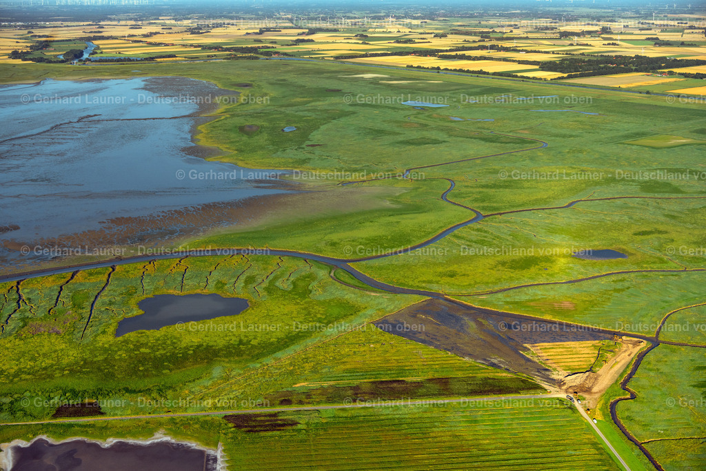4038458 | Küste am Naturschutzgebiet Leyhörn bei Greetsiel 07.08.2020 Grasflächen- Strukturen einer Feld- und Wiesen- Landschaft in Greetsiel im Bundesland Niedersachsen, Deutschland. // Grass area structures of a salt marsh landscape in Greetsiel in the state Lower Saxony, Germany. Foto: Gerhard Launer