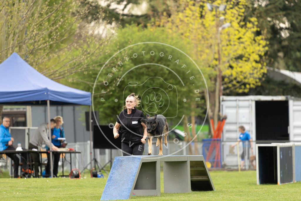 Pfotenfotografie_DV3A8945 | Hundefotografie, Tierfotograf, Pfotenfotografie, Fotoshooting Hund, Hunde Portrait, Hundesport, Hundeportraits, Heideshooting, Hunde, Sportfotograf, Hundefotograf, Turnierhundsport, THS,  - Realisiert mit Pictrs.com