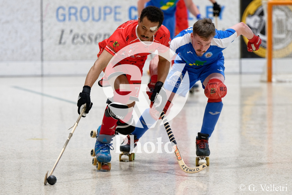 DSC_6008 | Velletri Photo