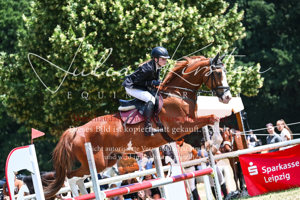 DSC_0012 | Pferde- und Turnierfotografie in Westsachsen. Pferdeportraits, Auftragszeichnungen und intuitive Kunst.
