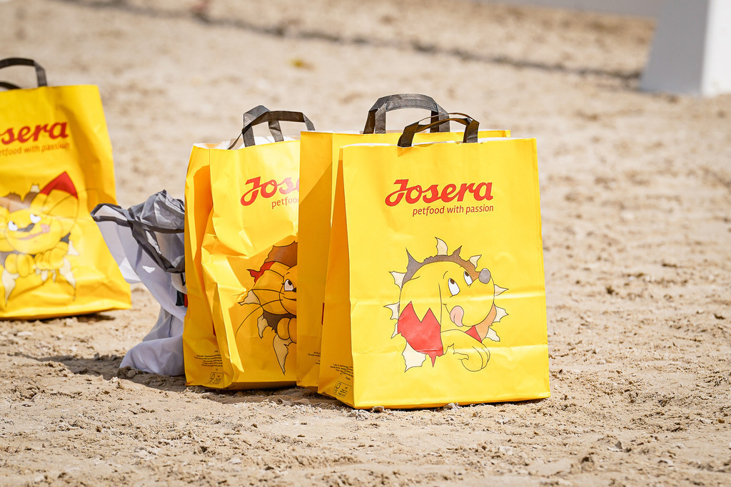 DSC02184 | Pferdegrafie