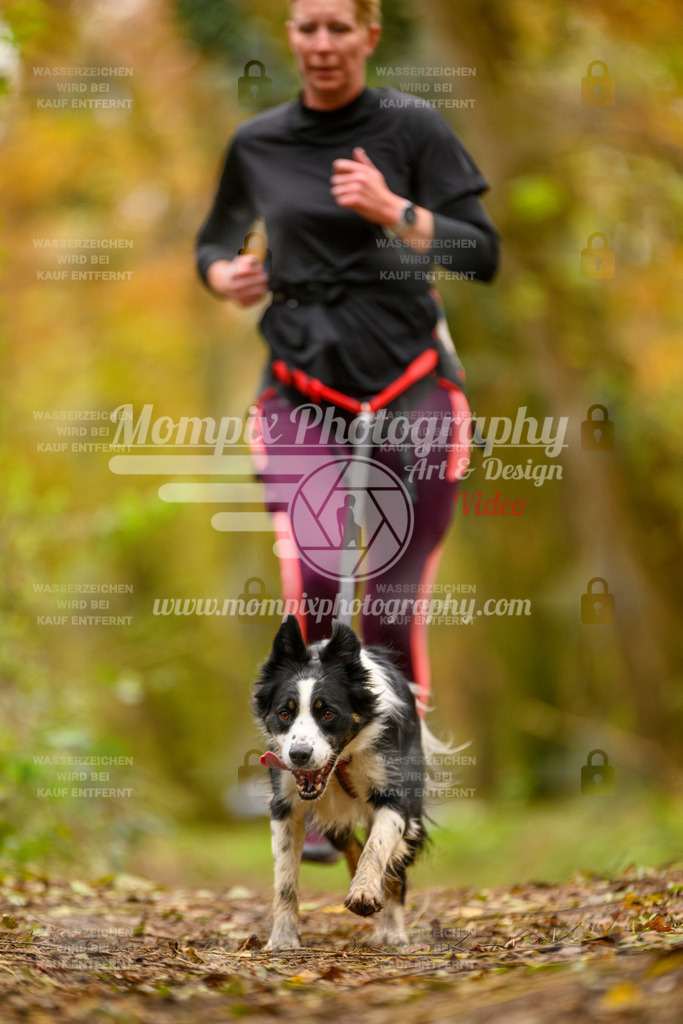 MompixPhotography_Bischwiller24_SA_Canicross-87 | PayLife