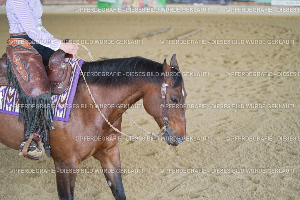 DSC02081 | Pferdegrafie