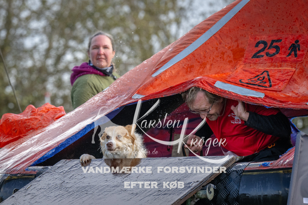 1228-93831 | kk-dogfotos