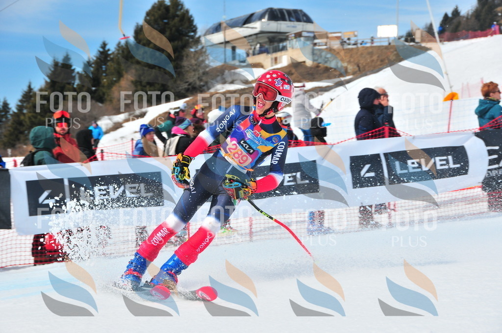 DSC_6445 | holidayphoto