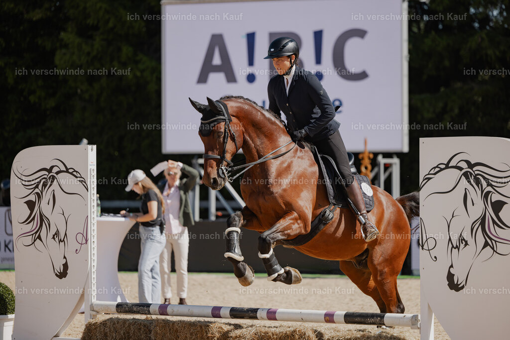 Nadine22_FHC2025-59 | working equitationturnier fotograf videograf stoibphotography marixx film working equitation deutschland reitsport turnierfotografie eventfotografie equestrian events