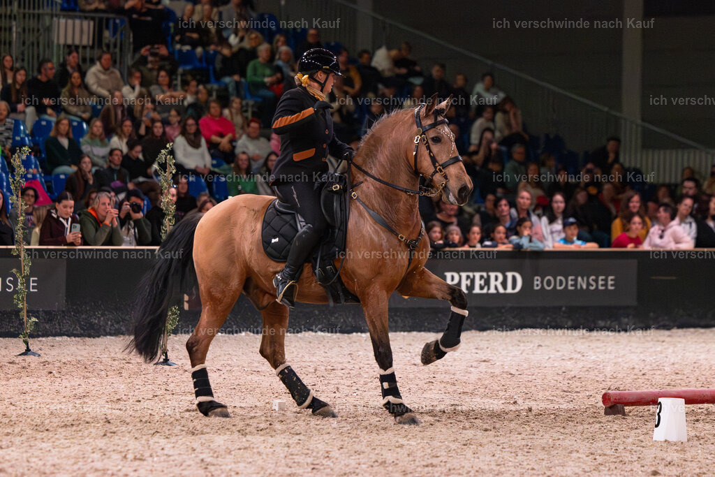 JoseraCup-208 | working equitationturnier fotograf videograf stoibphotography marixx film working equitation deutschland reitsport turnierfotografie eventfotografie equestrian events