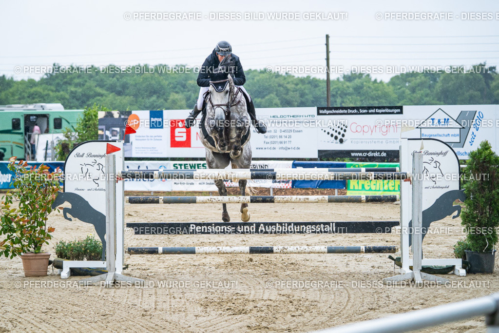 DSC09966 | Pferdegrafie