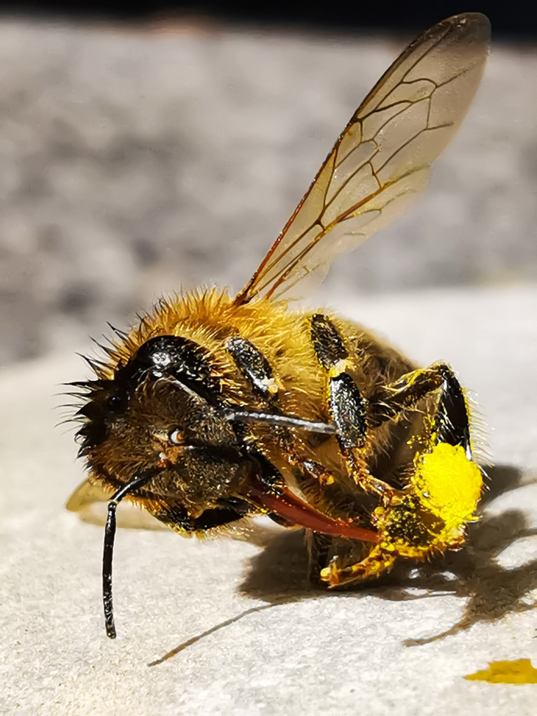 PSX_20230406_233826 | mtkfoto_ - Realisiert mit Pictrs.com