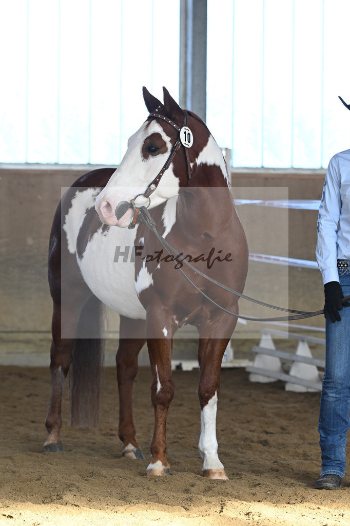 Kat-Nr. 10 ARH Like One Marvel v. One Gun_Reicherzer_49250478 | hf-fotografie - Realisiert mit Pictrs.com