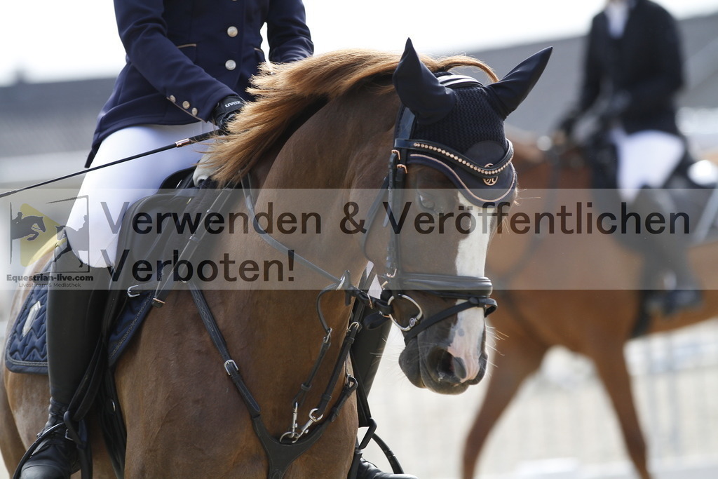 _MG_3282 | equestrian-live-com