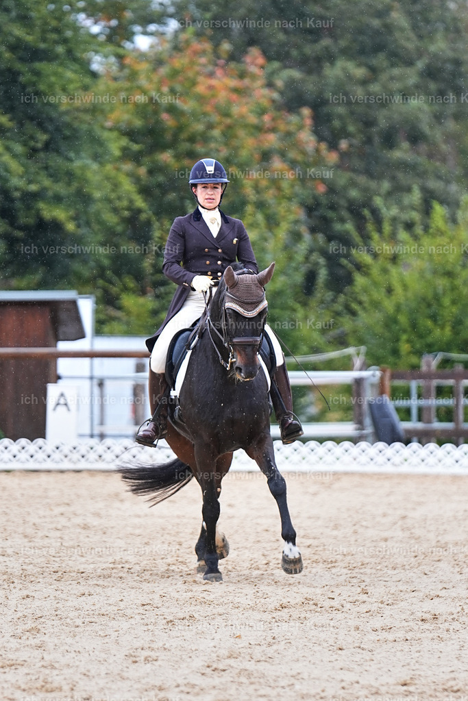 07-191-DRESSUR  S___  -Marixx-5120 | working equitationturnier fotograf videograf stoibphotography marixx film working equitation deutschland reitsport turnierfotografie eventfotografie equestrian events