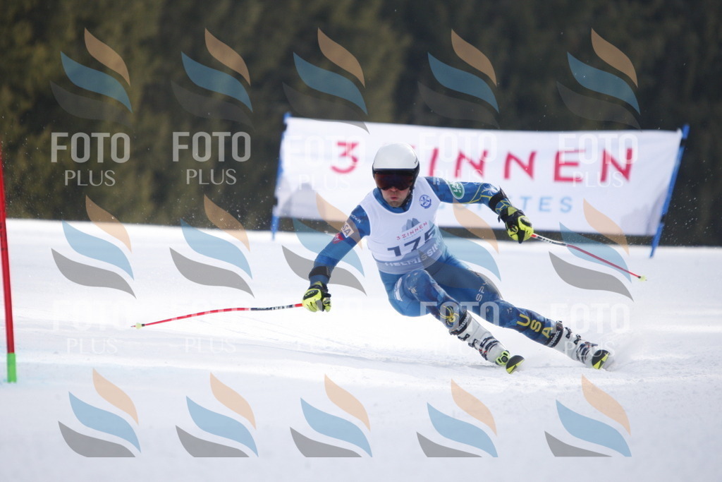 D7591 | holidayphoto