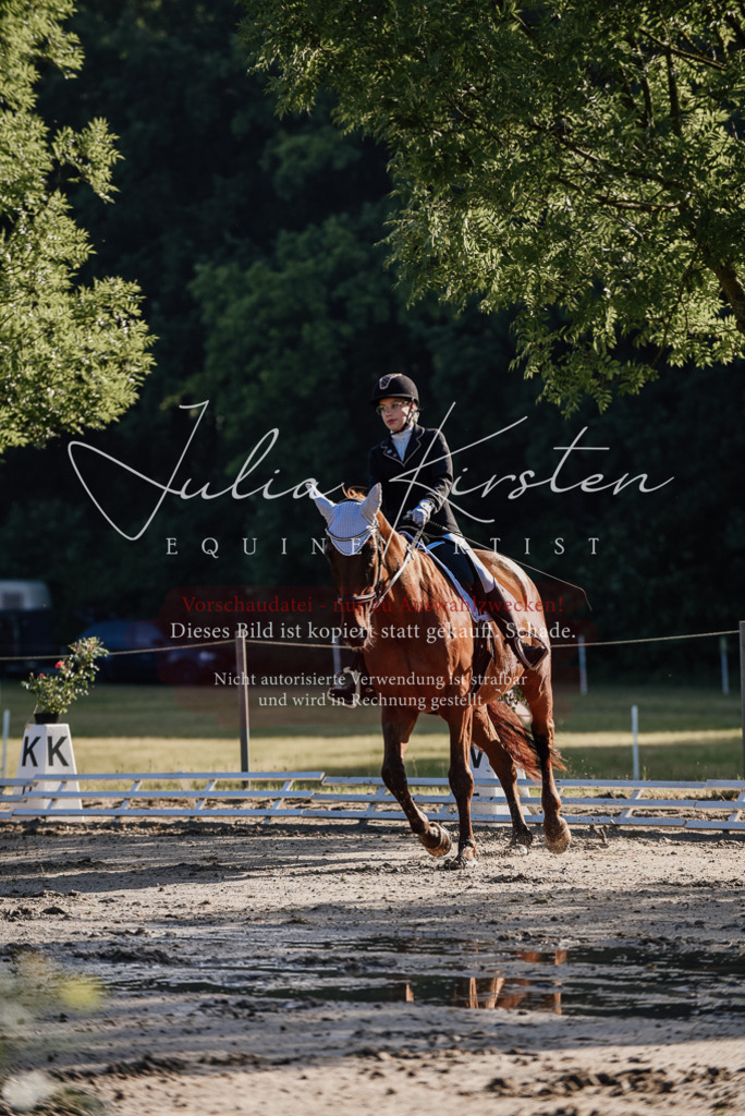 DSC_7705 | Pferde- und Turnierfotografie in Westsachsen. Pferdeportraits, Auftragszeichnungen und intuitive Kunst.