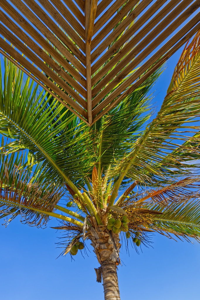 1H5A0168 | ansichtssache