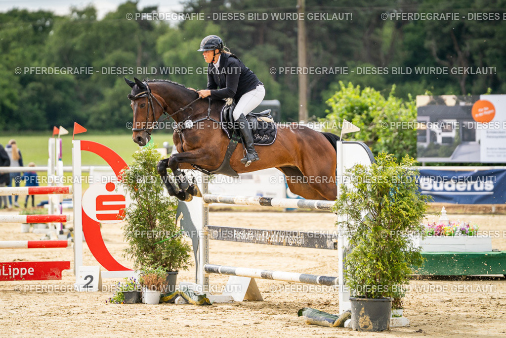 DSC05955 | Pferdegrafie