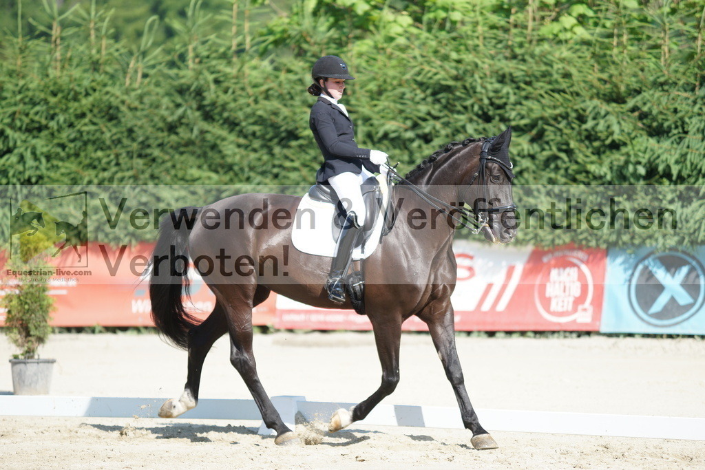 DSC02917 | equestrian-live-com