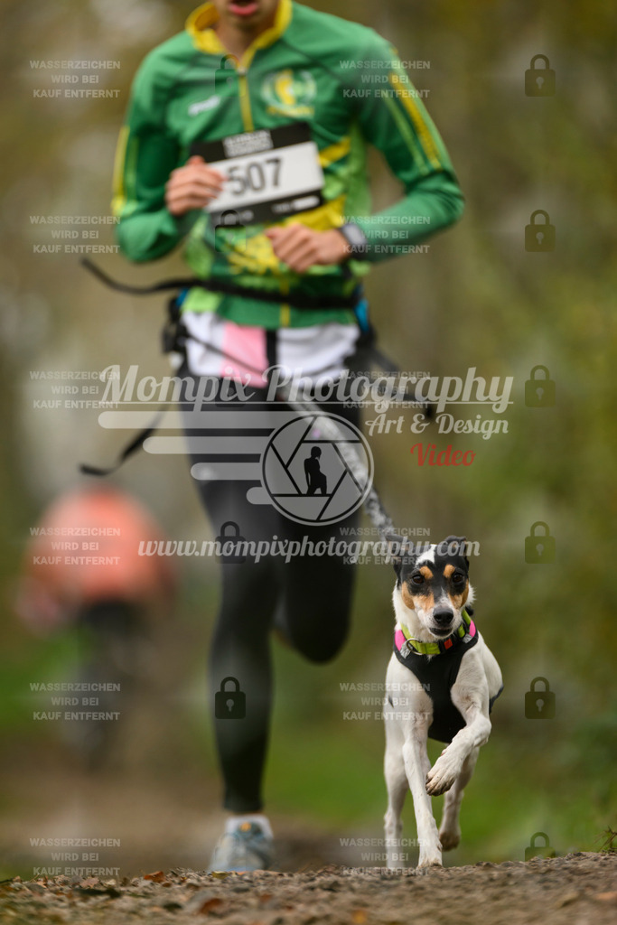 MompixPhotography_20TSB_E6_Run-75 | PayLife