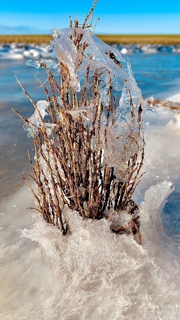 IMG_3186 | Björn Thiemann; Ogenblick.de; Fotografie; Photograph; Landscape, Pellworm, Schleswig-Holstein; Inselfotograf; Inselfotografien; Wattenmeer; National-Park; Naturschutzgebiet; Leuchtturm; Lighthouse; Leinwandbilder; Kalender; Pellworm Kalender;  - Realisiert mit Pictrs.com