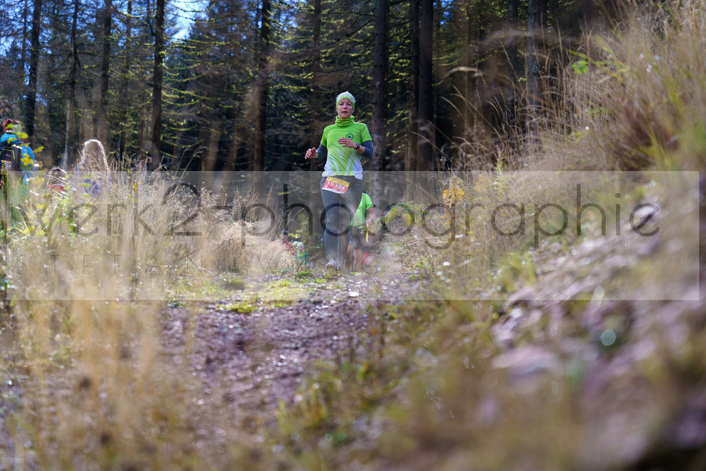 Herbstlauf 2024 | Rennsteig-Herbstlauf von Neuhaus am Rennweg nach Masserberg am 6. Oktober 2024