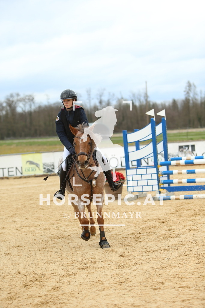 DL2Q1904 | Willkommen bei Brunnmayr - Design & Fotografie – Ihrem Spezialisten für Reitturniere und Pferdeveranstaltungen in Oberösterreich, Salzburg und Bayern! Seit über 17 Jahren sind wir leidenschaftlich dabei.