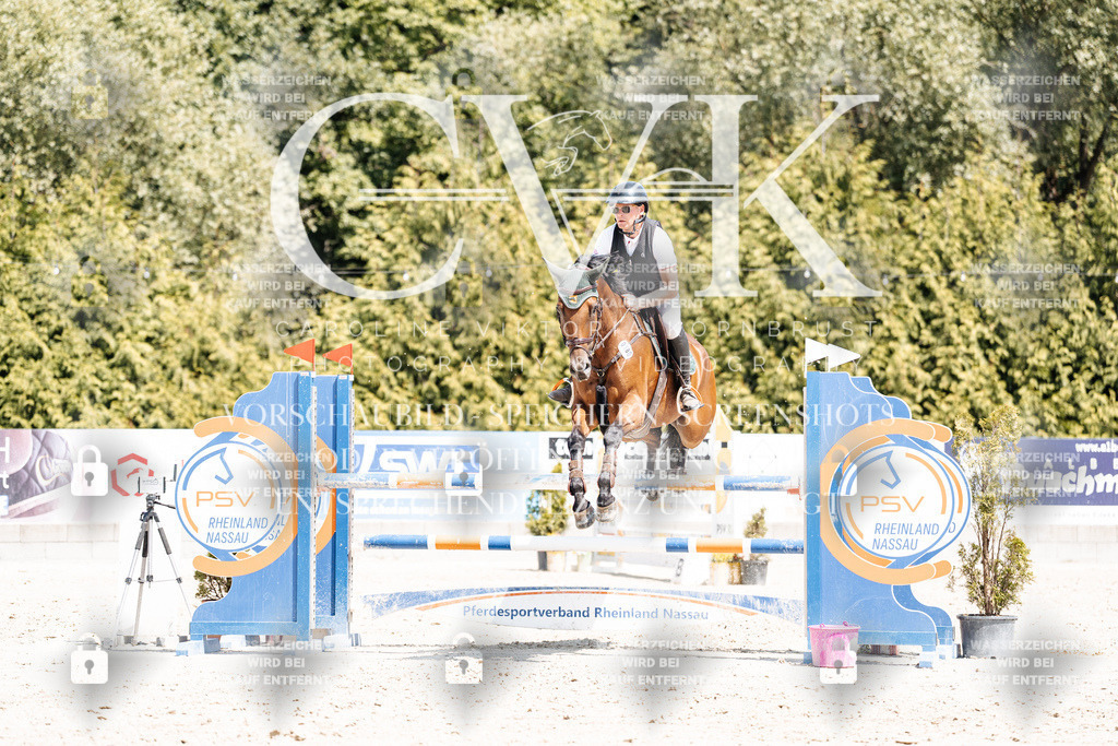CK900775 | Turnierfotografie Pferdefotografie Trier Rheinland-Pfalz Pferdesport Reitsport Tierfotografie Sportfotografie Pferdevideo Pferdevideografie Equestrianvideography equestrianphotography  - Realisiert mit Pictrs.com