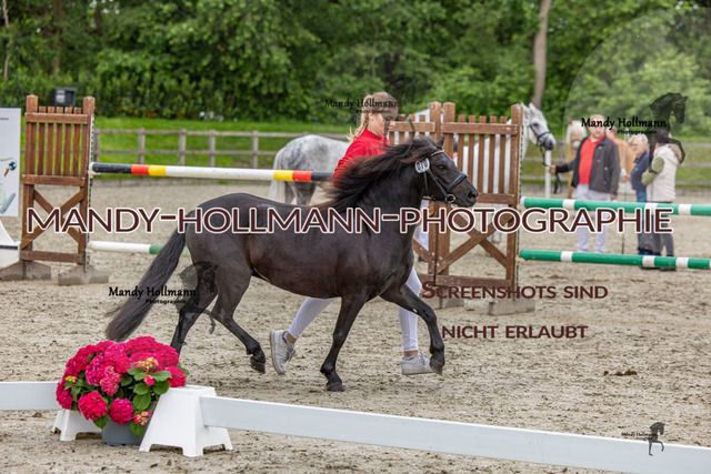 1 (35 von 76) | mandyhollmannphotographie