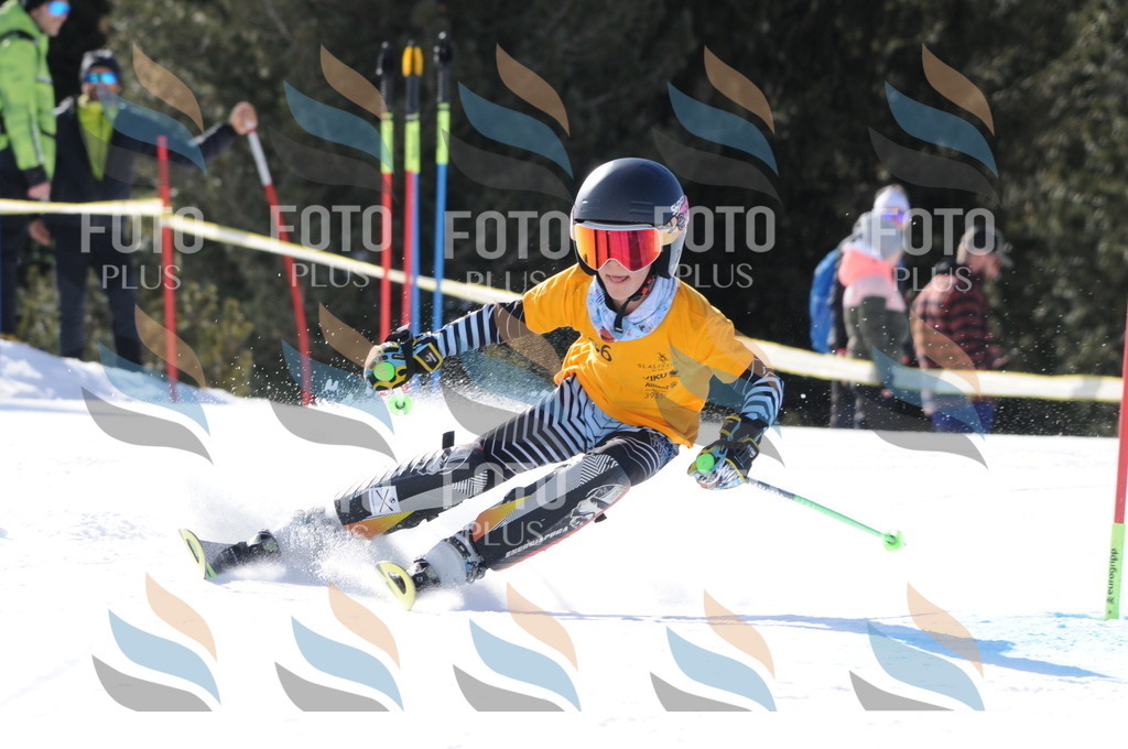 C7244 | holidayphoto