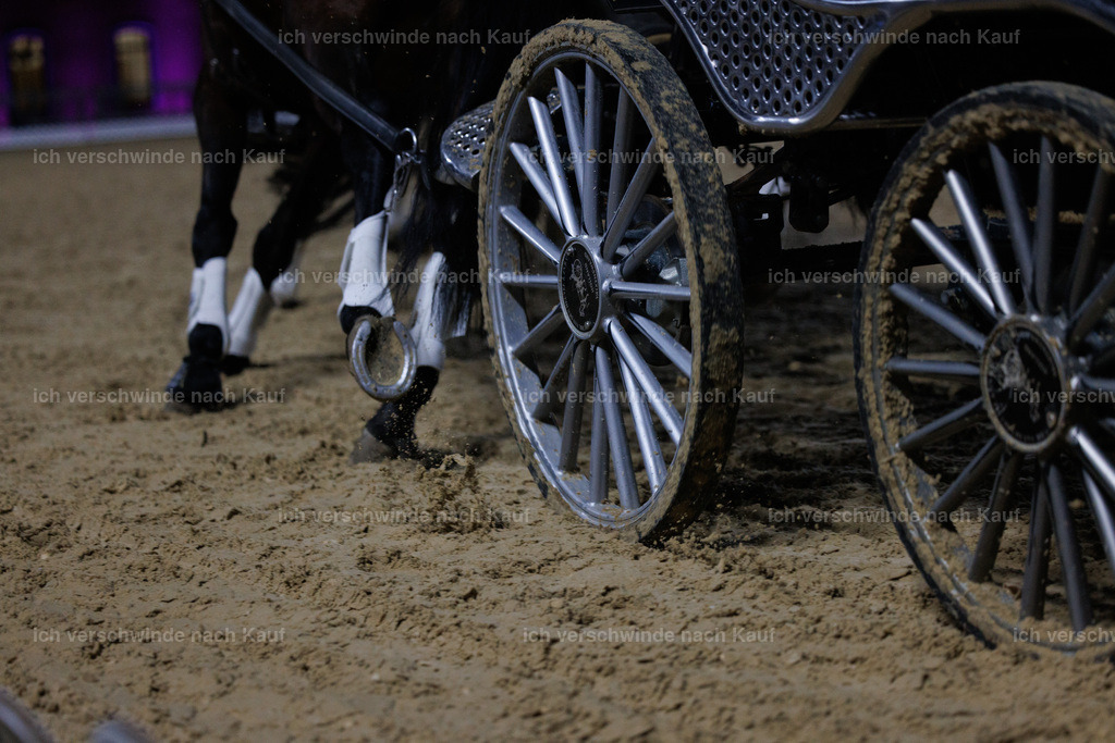 FHClassics-289 | working equitationturnier fotograf videograf stoibphotography marixx film working equitation deutschland reitsport turnierfotografie eventfotografie equestrian events