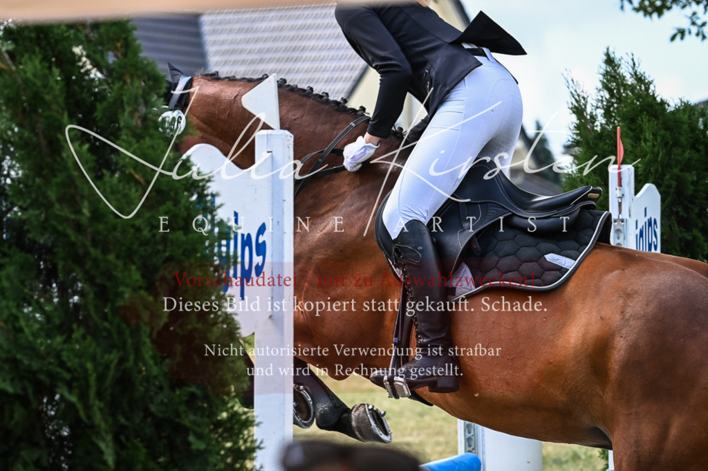 DSC_8479 | Pferde- und Turnierfotografie in Westsachsen. Pferdeportraits, Auftragszeichnungen und intuitive Kunst.