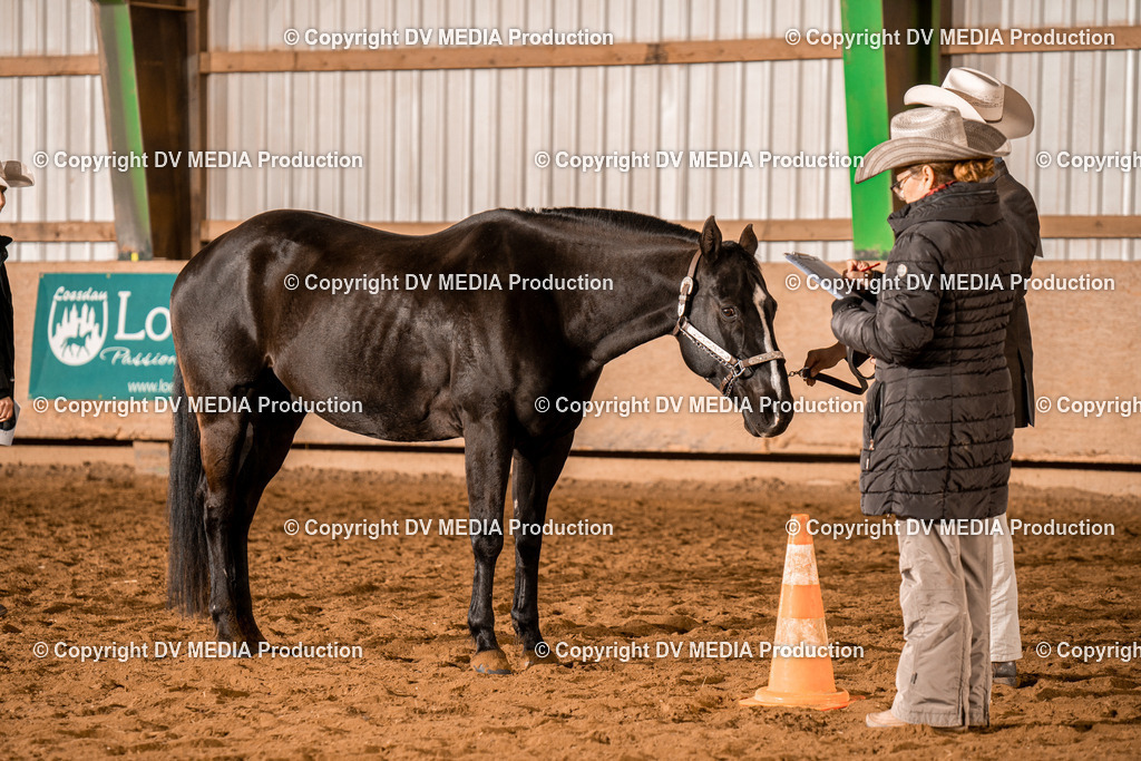 BAL01363 | dv-media-shop - Realisiert mit Pictrs.com