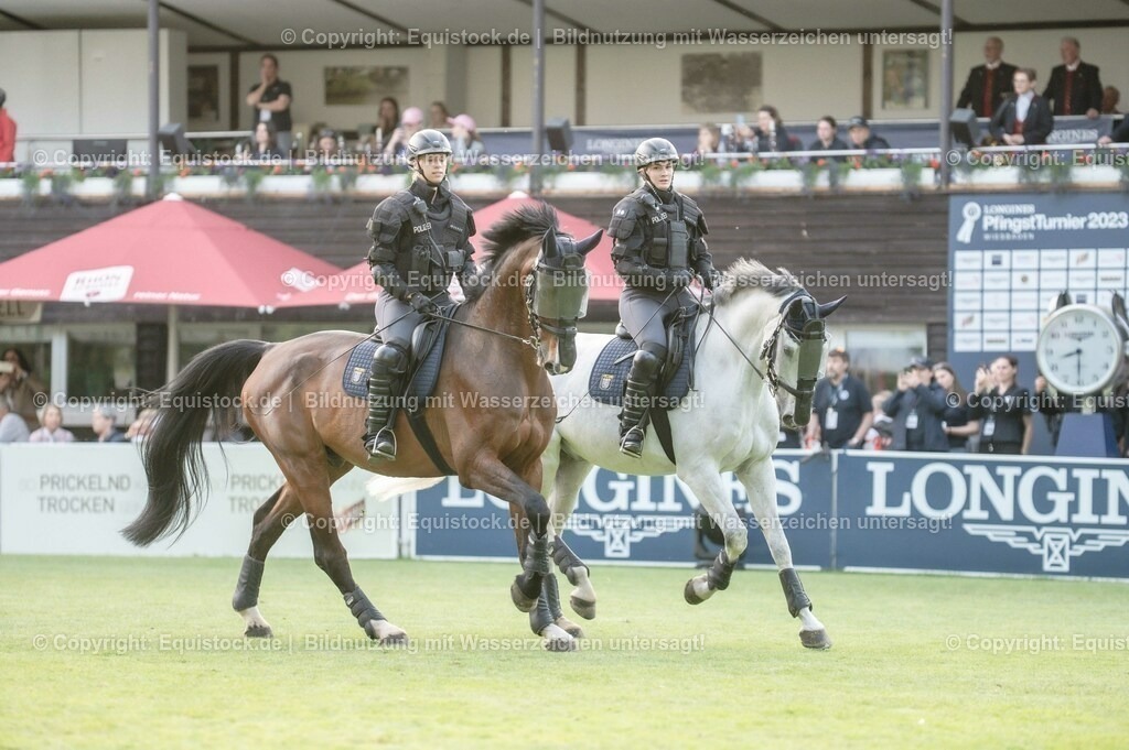 20230526_Pferdenacht_0353 | equistock