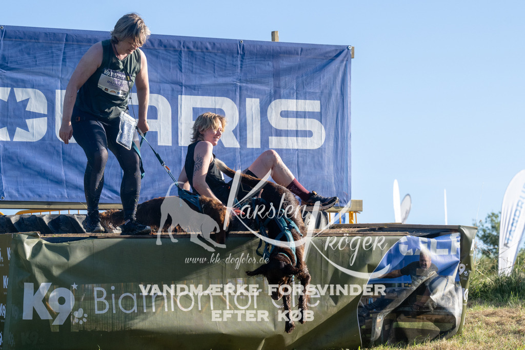 0832_ZZ94170 | kk-dogfotos