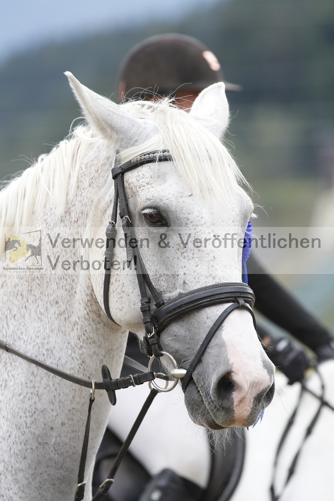 _MG_9349 | equestrian-live-com