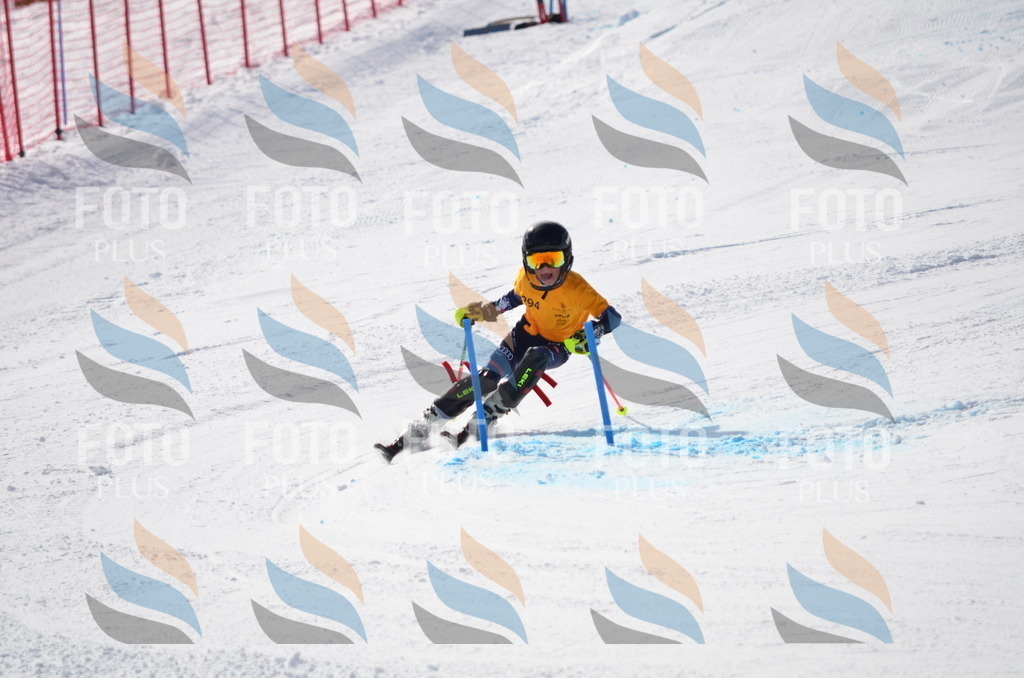 C8708 | holidayphoto