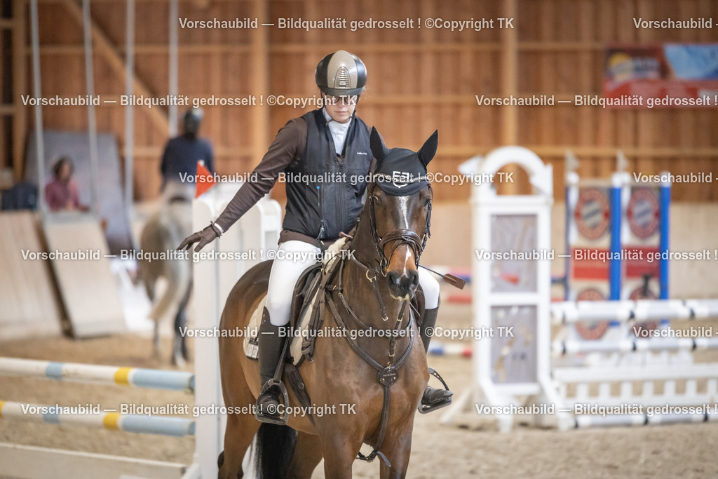 _D5A7211 | Emotionale Pferde- & People-Fotografie rund um Heidelberg, Leimen & Umgebung. Natürliche Fotos von Pferd, Mensch & Familie. Jetzt Termin sichern!