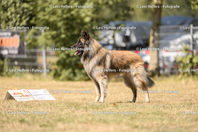 _DSC7301 | levihelfersfotografie