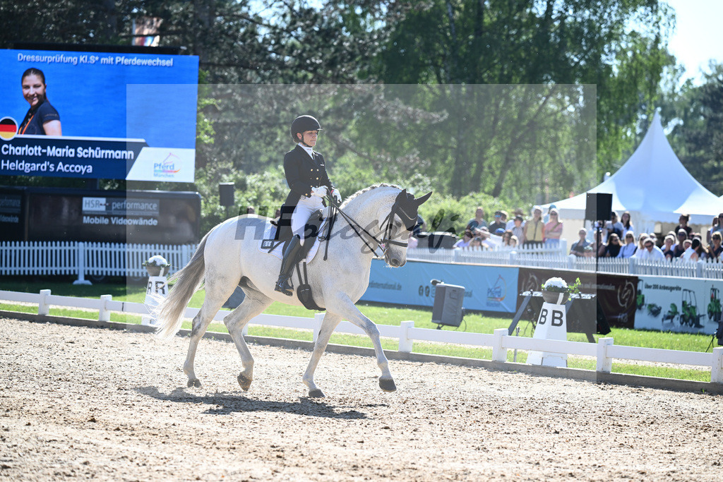 Schuermann_Heldgards Accoya_12244841 | hf-fotografie - Realisiert mit Pictrs.com