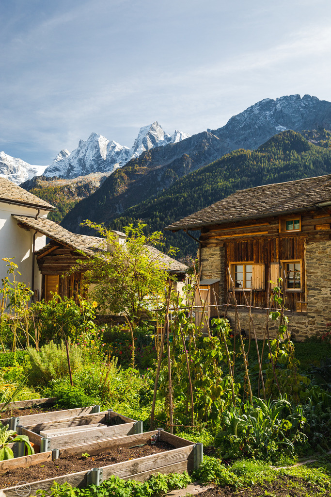 Soglio | Sie fasziniert die Schweizer Natur und Bergwelt genau so wie mich? Auf www.steg-fotografie.ch findest du sicher ein passendes Bild von Landschaften, Tieren oder dem Nachthimmel für deine Wohnung. Jetzt als Wandbild, Abzug, Karte oder Download bestellen. - Realisiert mit Pictrs.com