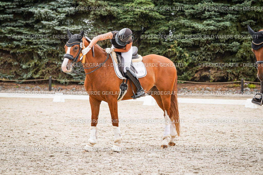 DSC08067 | Pferdegrafie