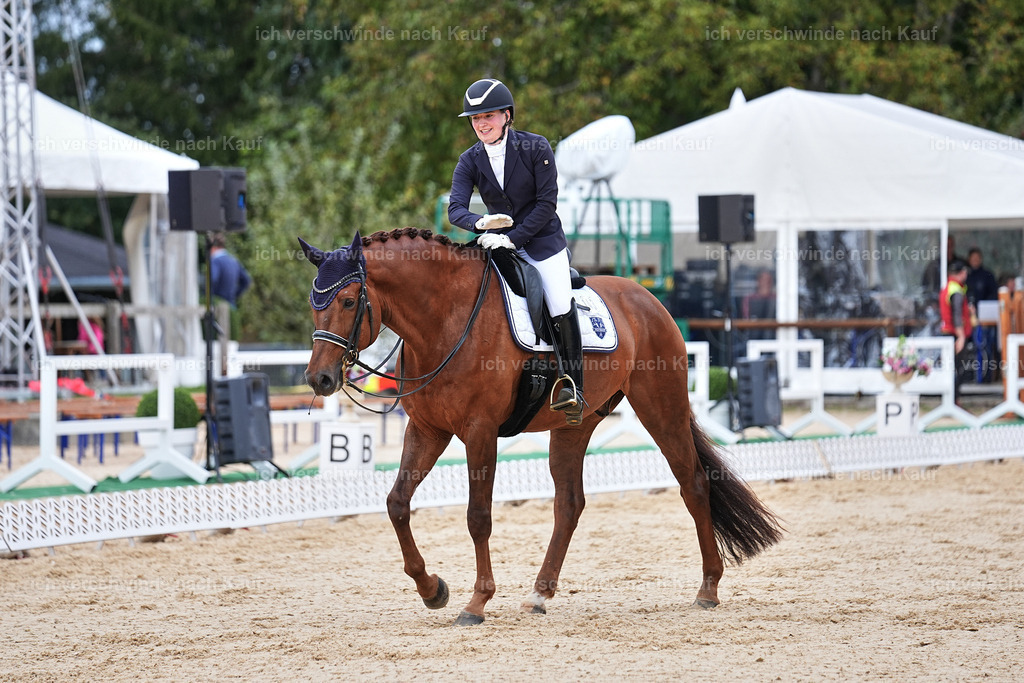 04_1-143-Dressur M__ -Marixx-2721 | working equitationturnier fotograf videograf stoibphotography marixx film working equitation deutschland reitsport turnierfotografie eventfotografie equestrian events