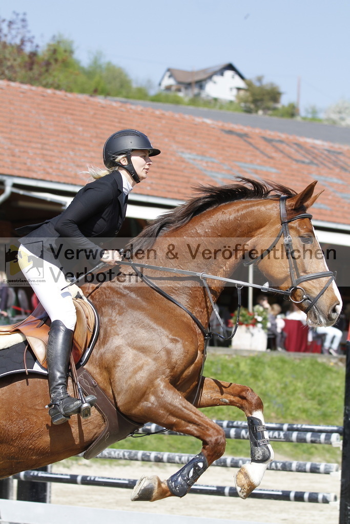 _MG_9526 | equestrian-live-com